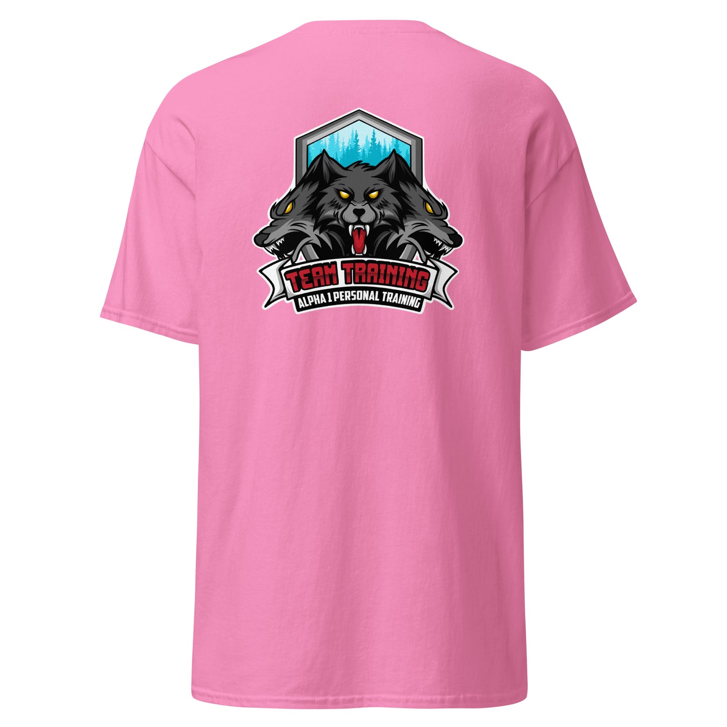 TEAM Training T-Shirt V1