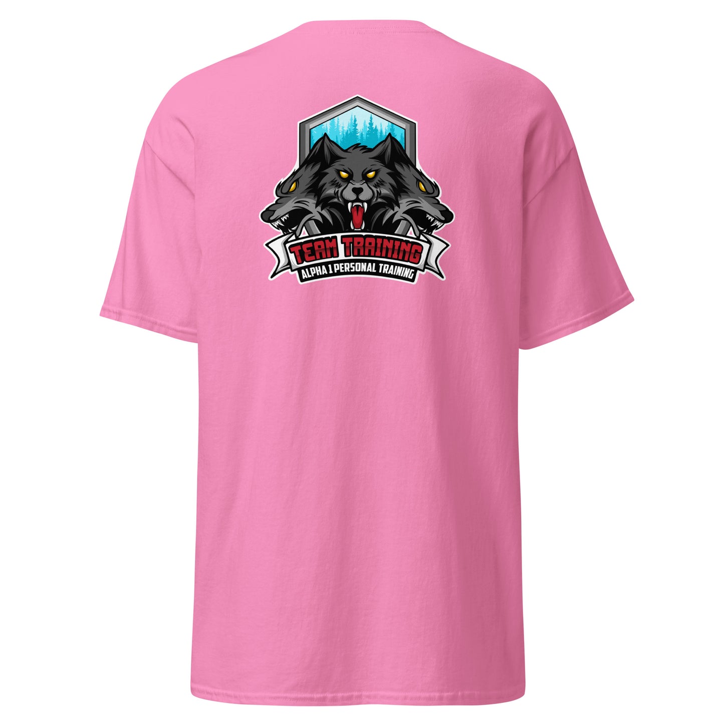 TEAM Training T-Shirt V2