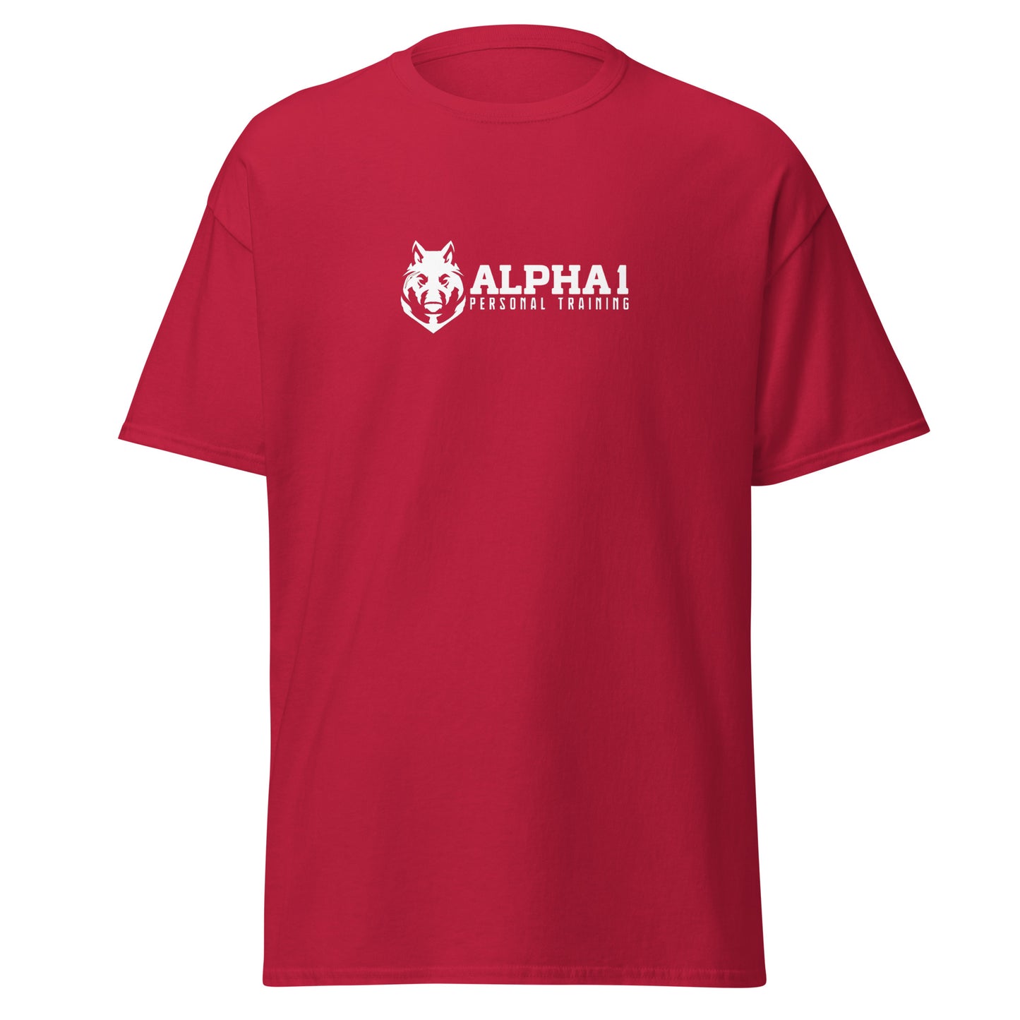 TEAM Training T-Shirt V2