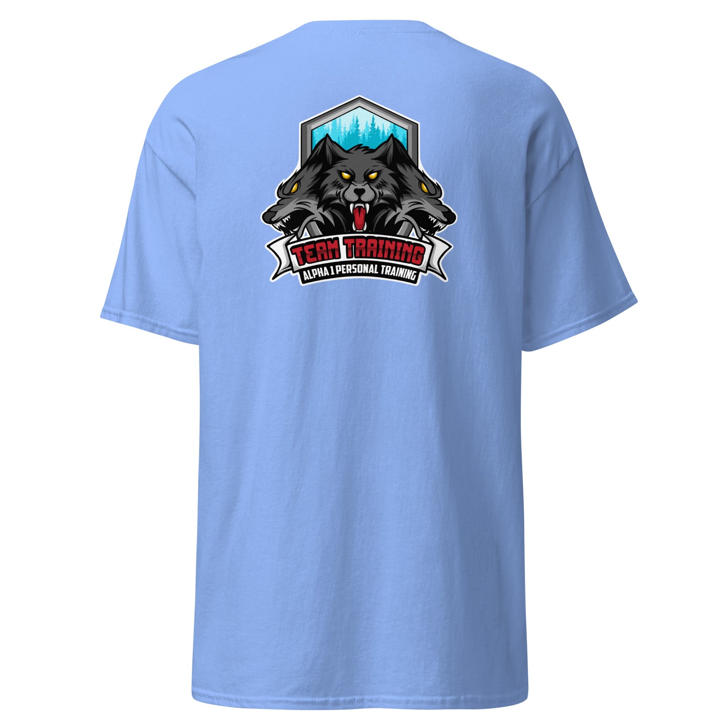 TEAM Training T-Shirt V2