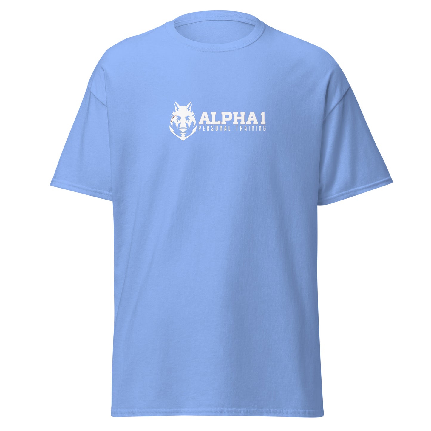 TEAM Training T-Shirt V2