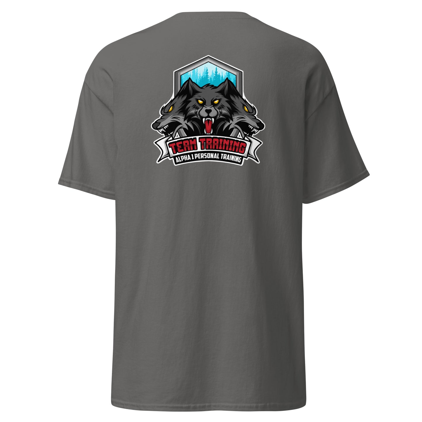 TEAM Training T-Shirt V2