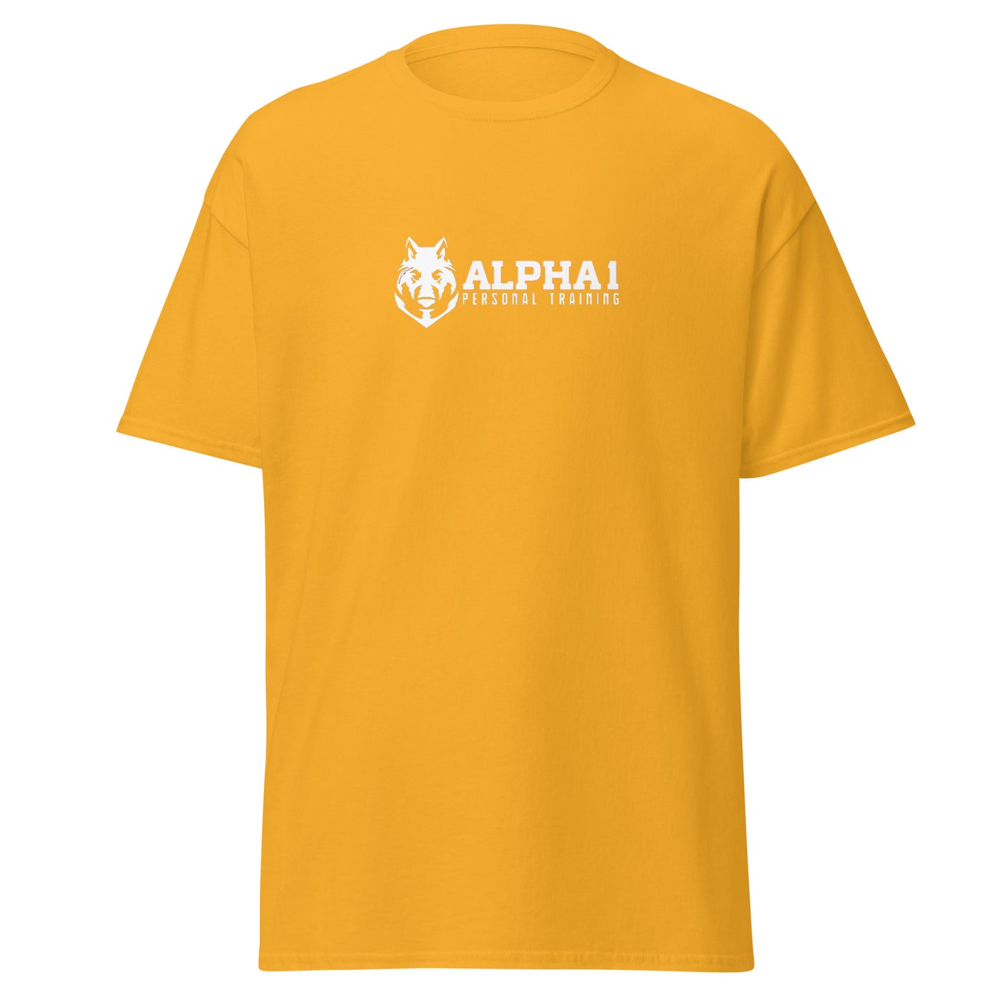 TEAM Training T-Shirt V2