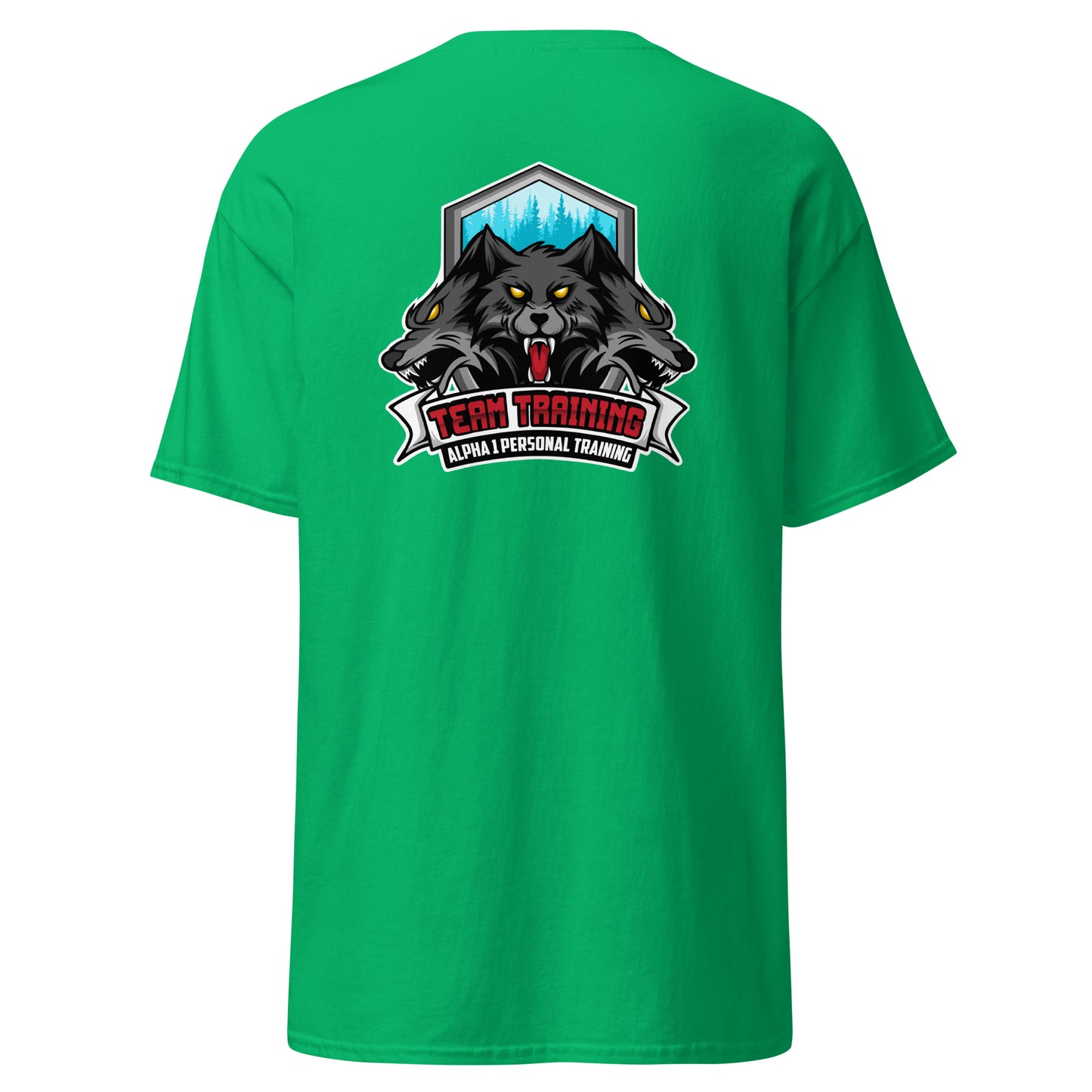 TEAM Training T-Shirt V1