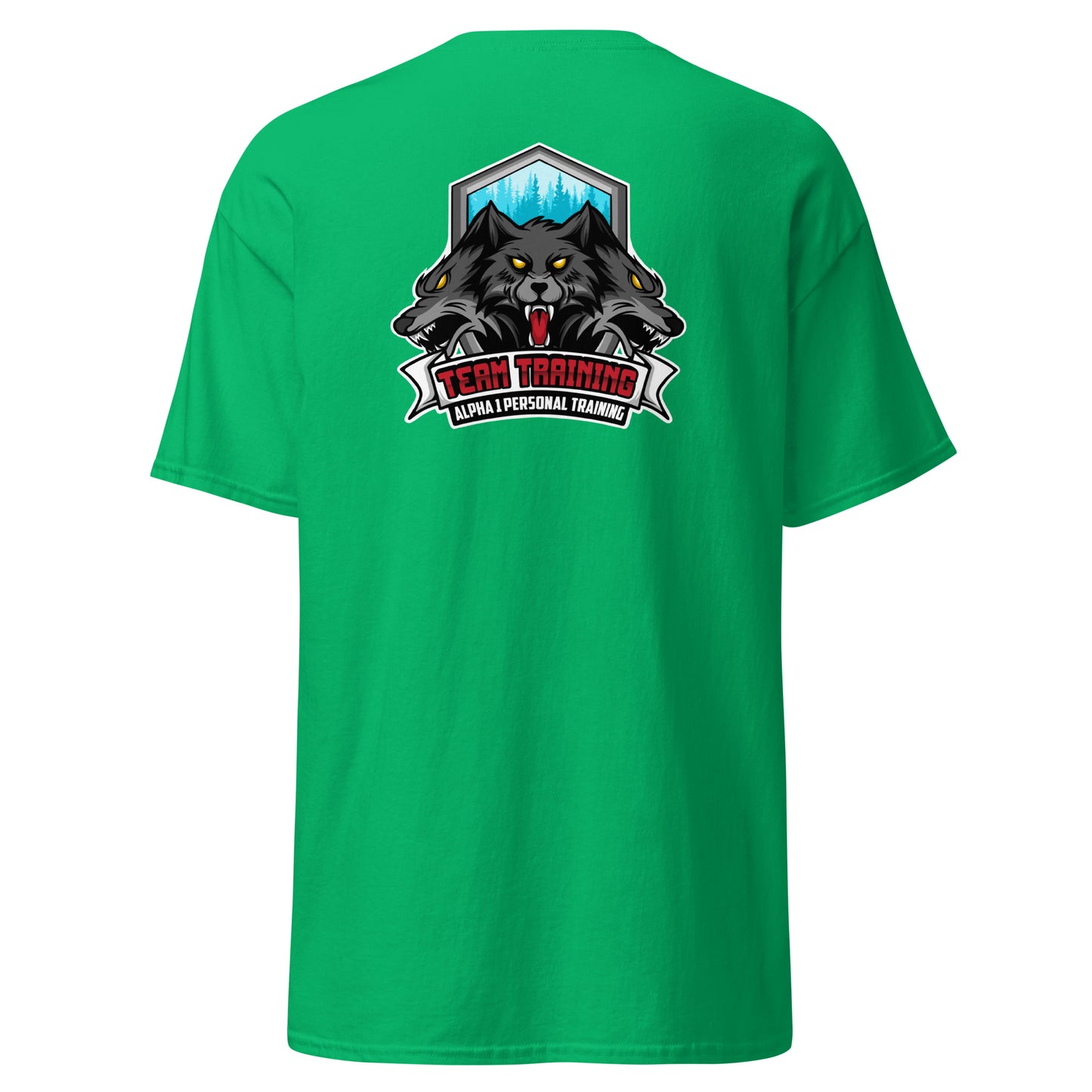 TEAM Training T-Shirt V2