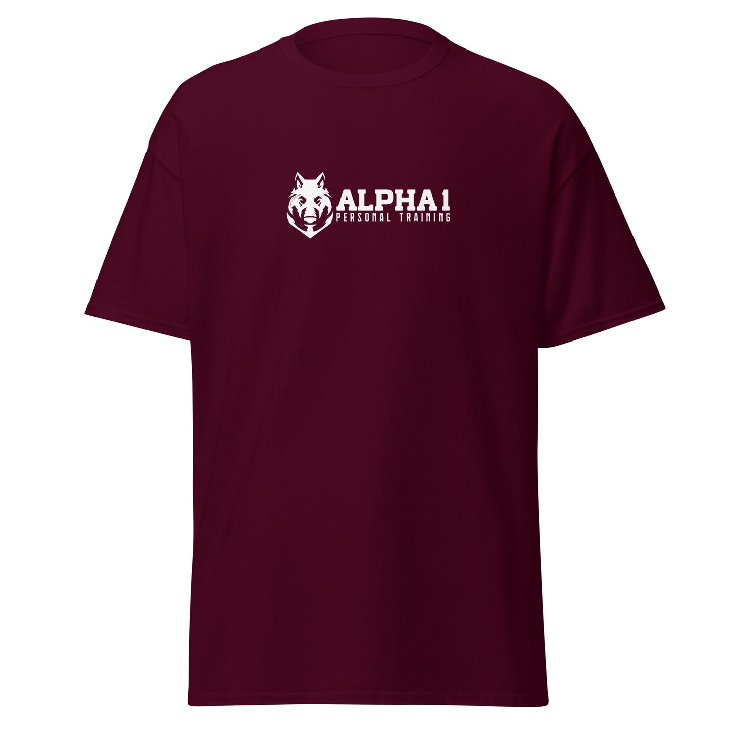 TEAM Training T-Shirt V2