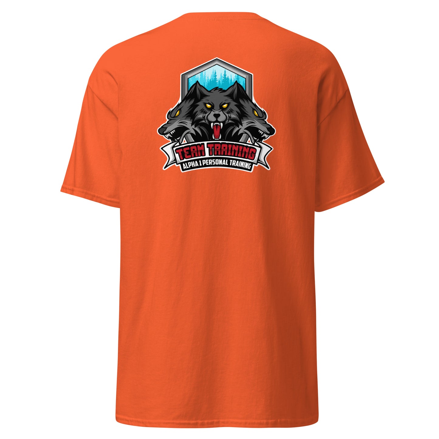 TEAM Training T-Shirt V2
