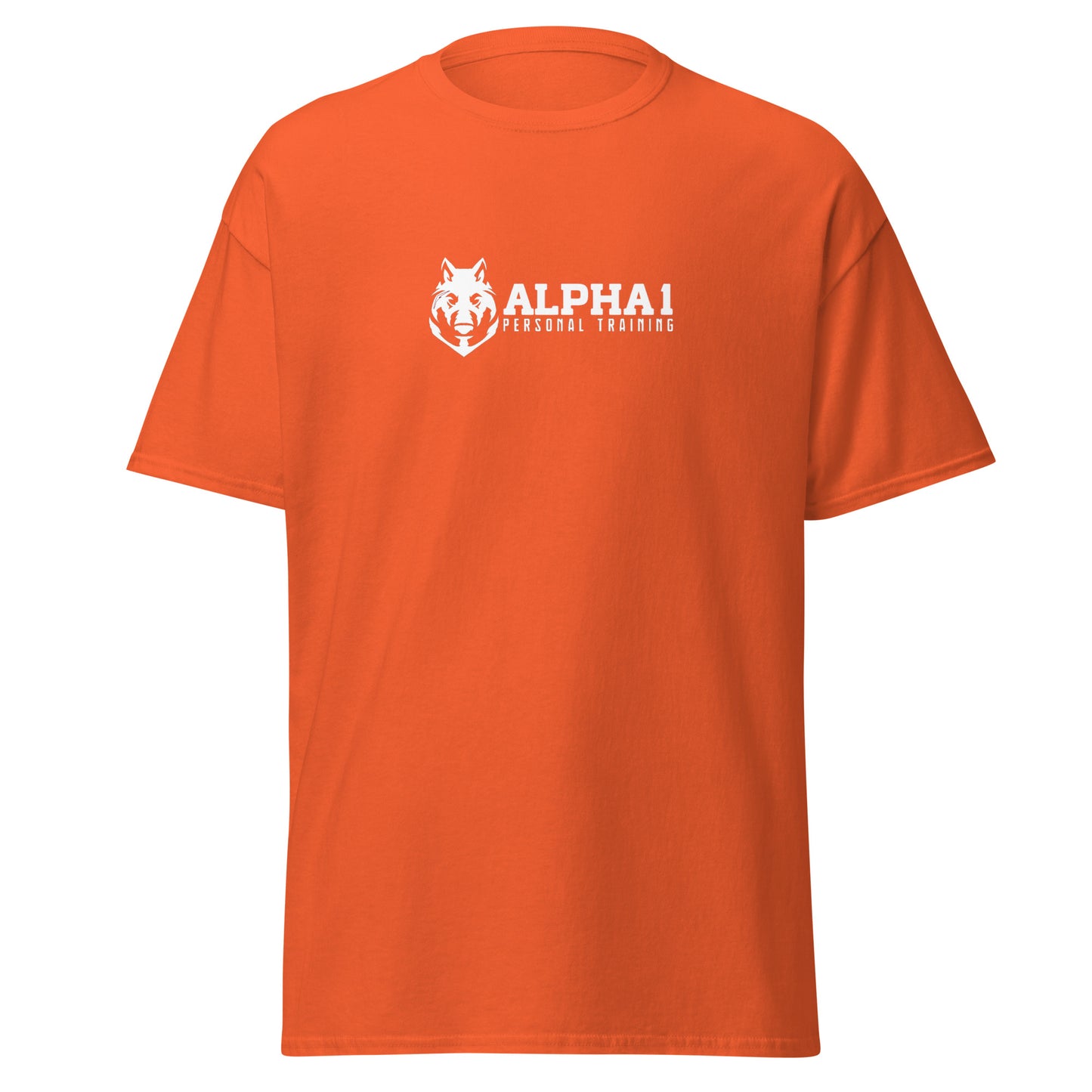 TEAM Training T-Shirt V2