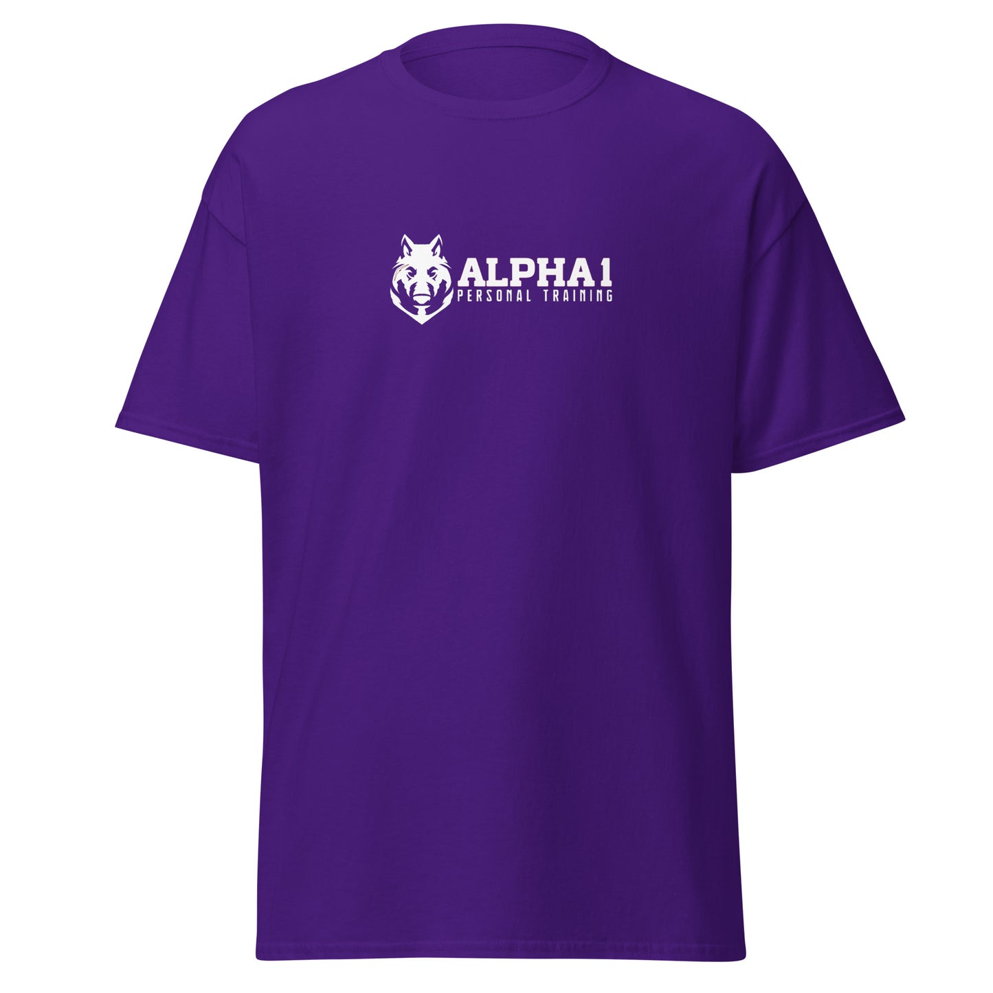 TEAM Training T-Shirt V2