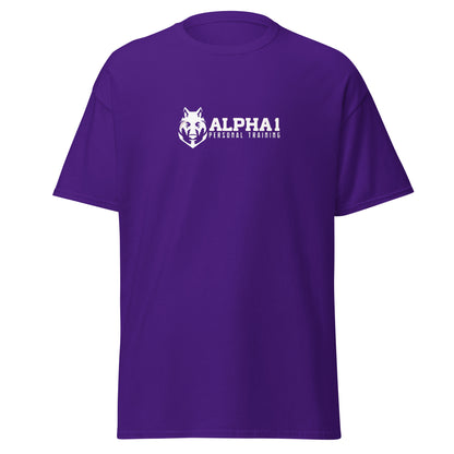 TEAM Training T-Shirt V2