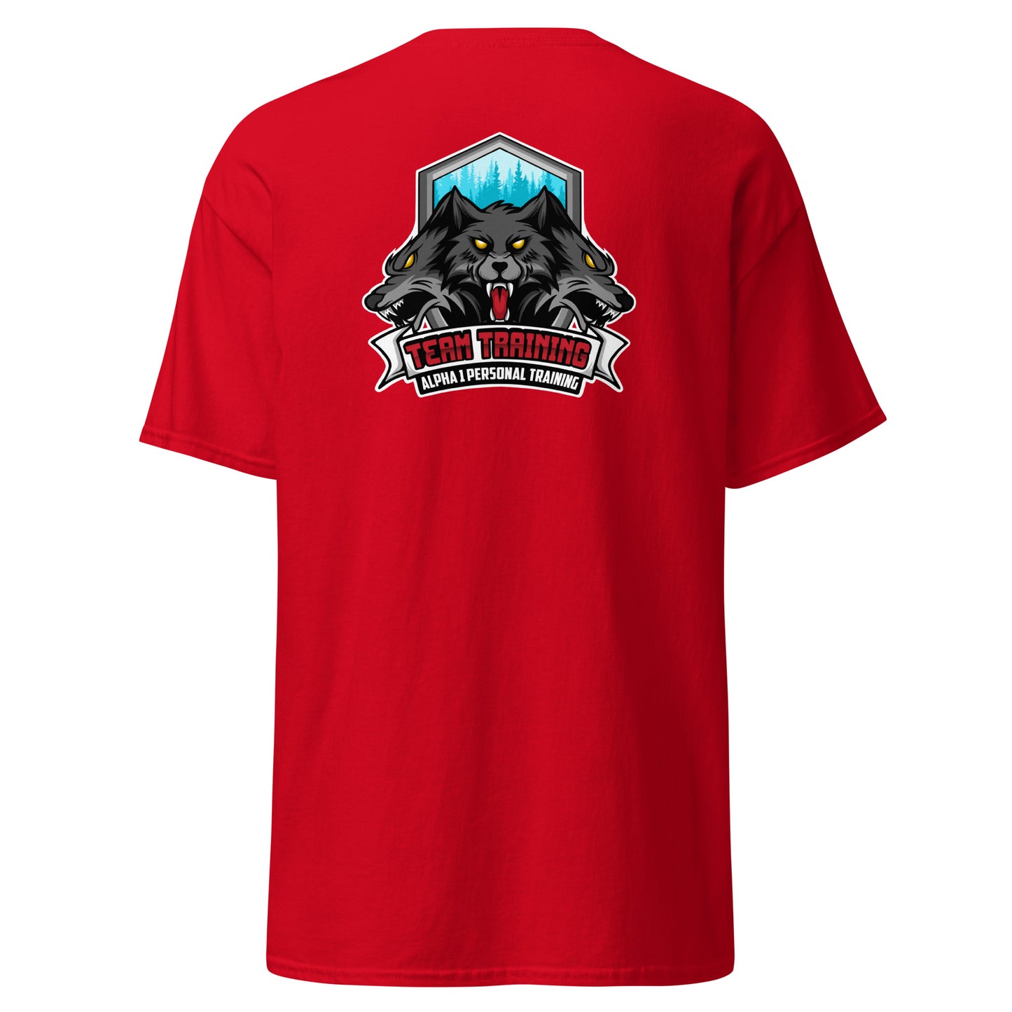 TEAM Training T-Shirt V2