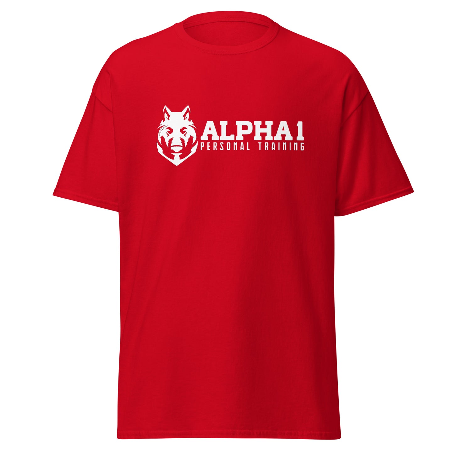 Alpha 1 Basic T-Shirt - Men's classic tee