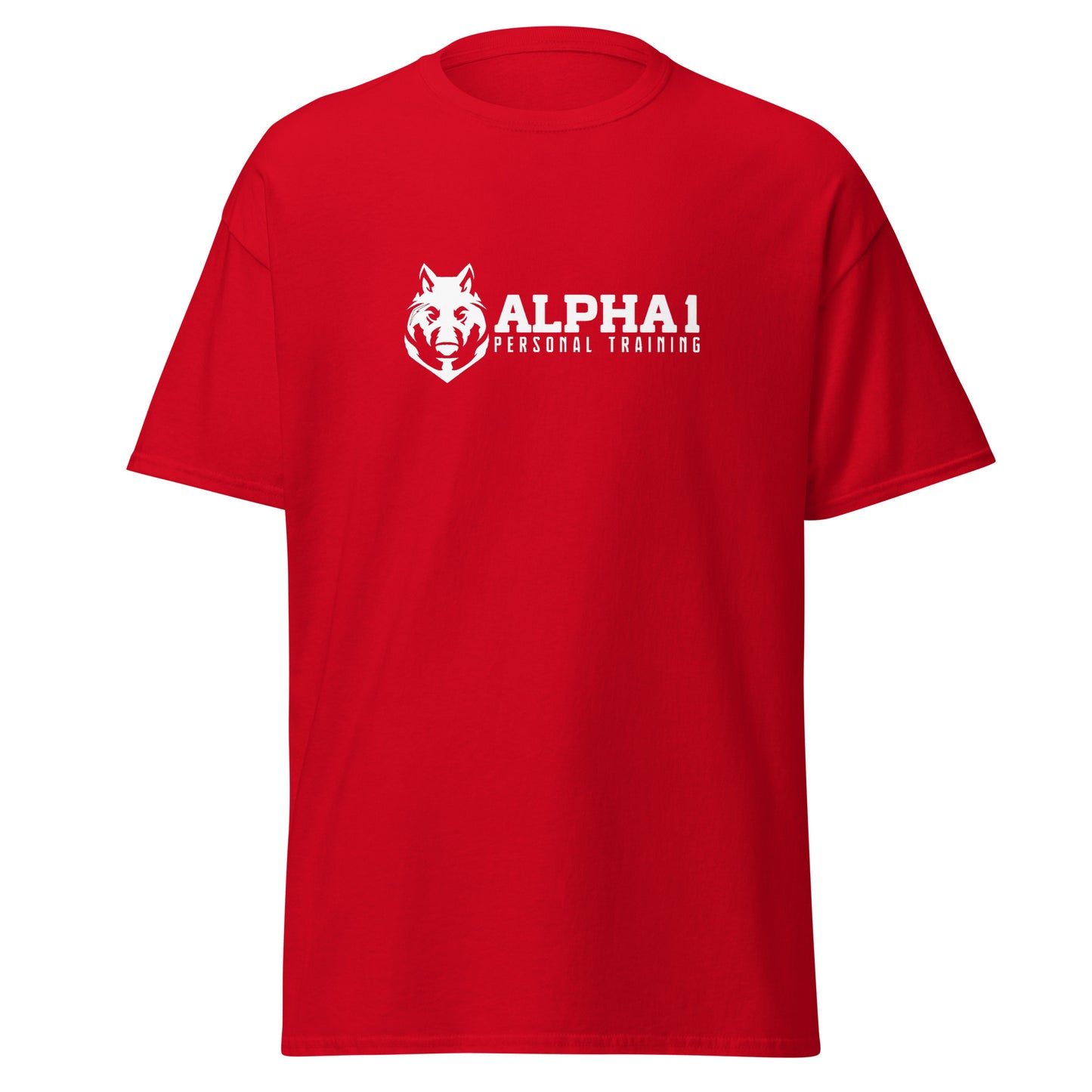 TEAM Training T-Shirt V1