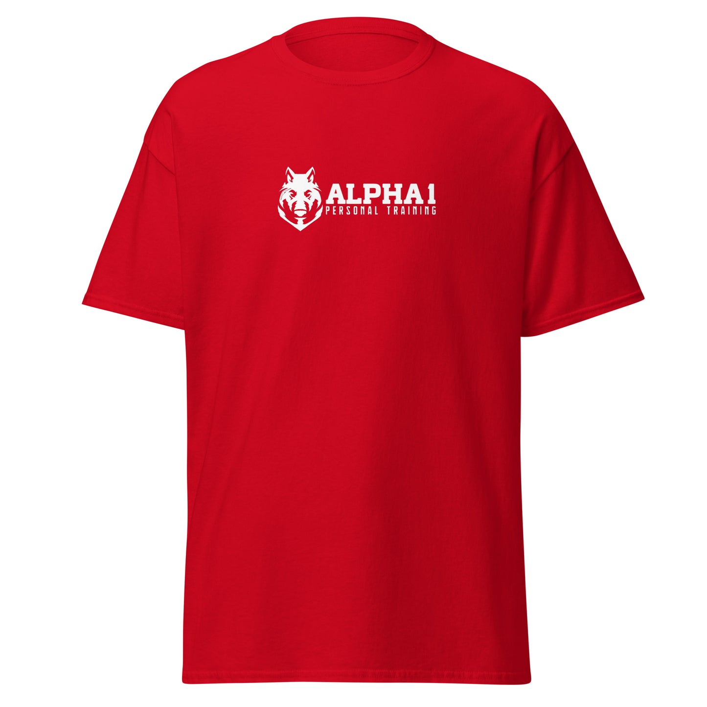 TEAM Training T-Shirt V2