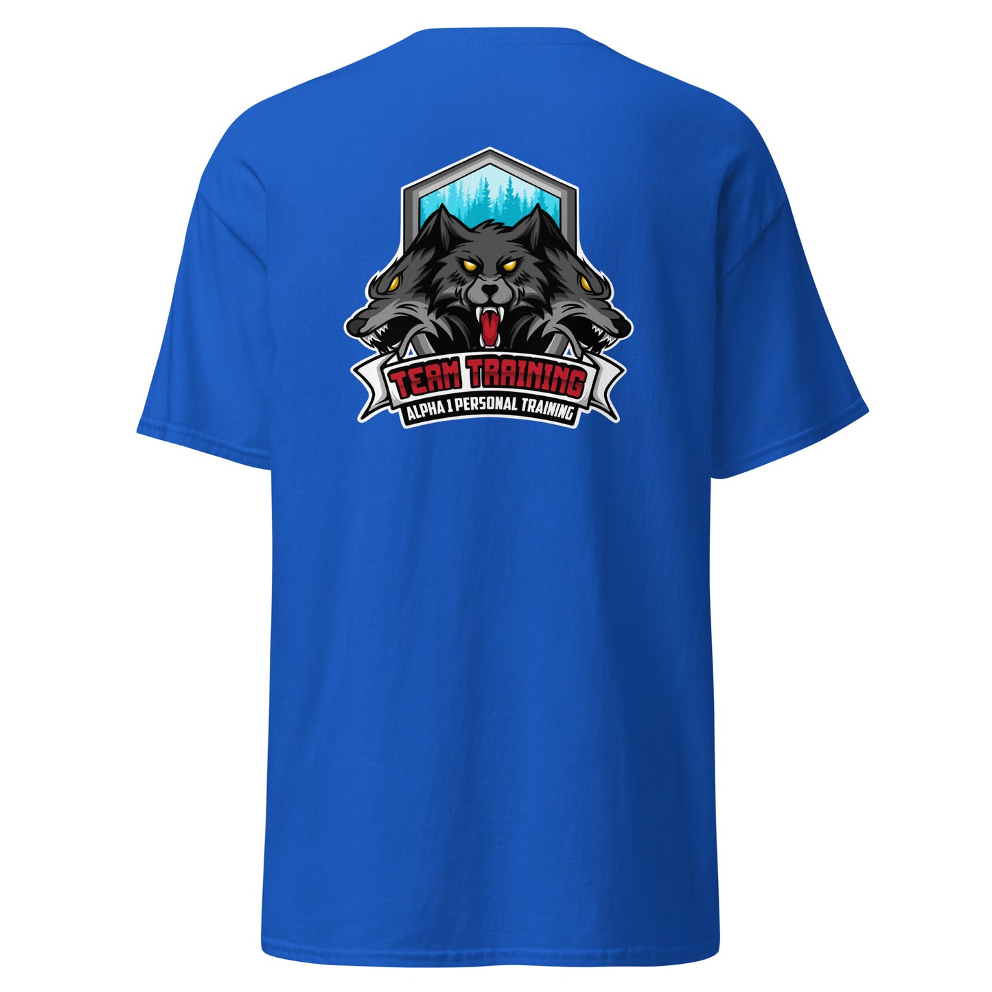 TEAM Training T-Shirt V1