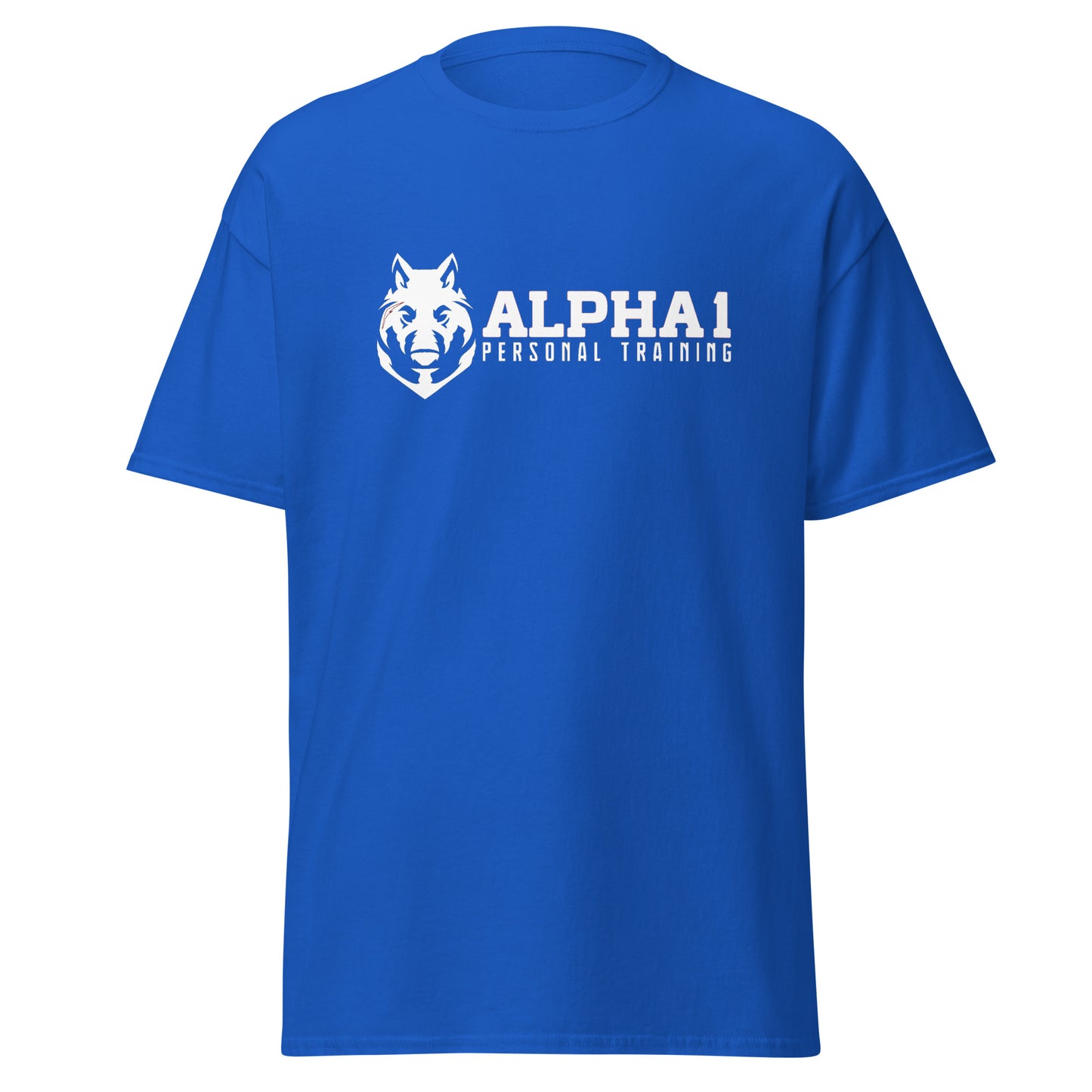 Alpha 1 PT Basic T-Shirt