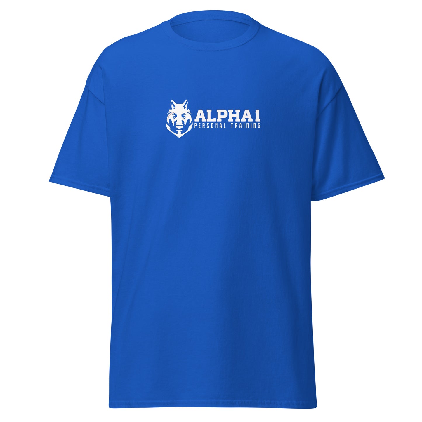 TEAM Training T-Shirt V2