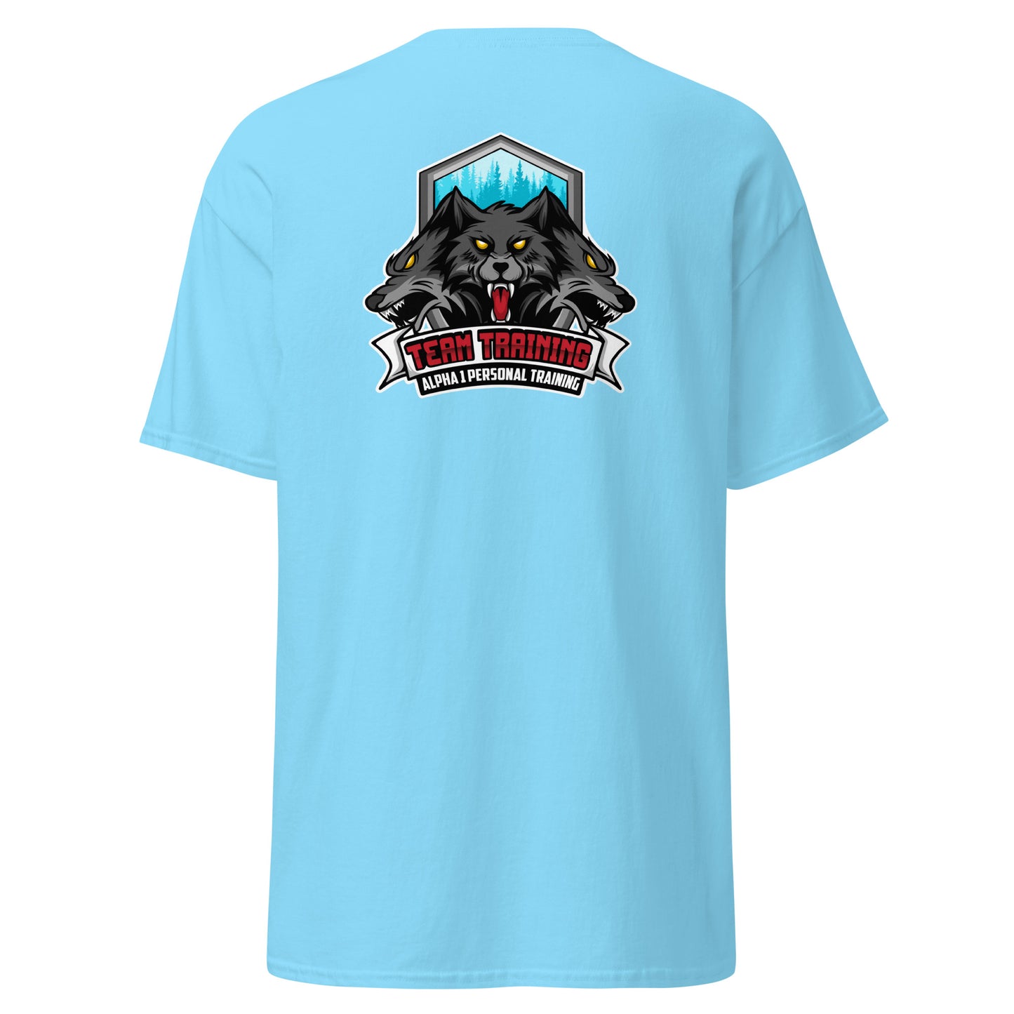 TEAM Training T-Shirt V2