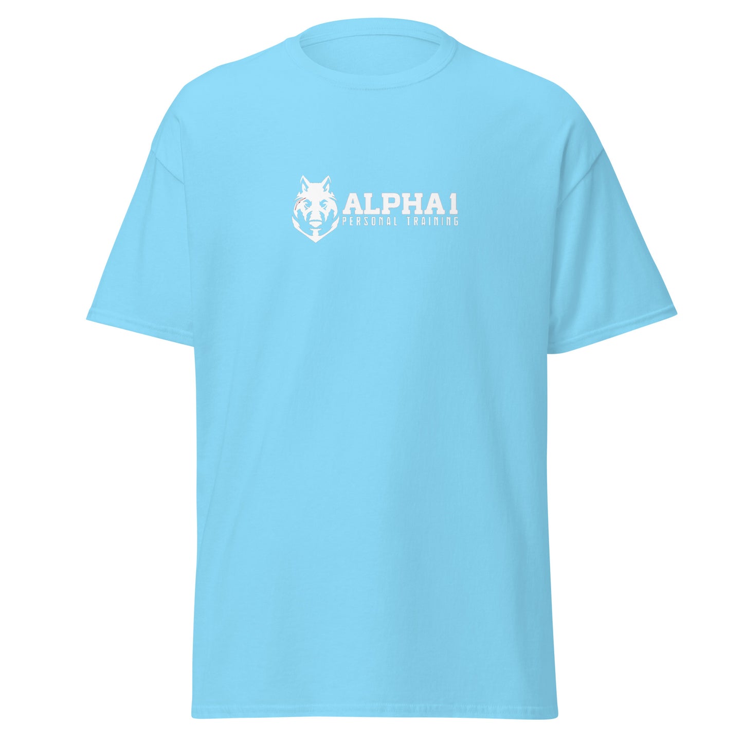 TEAM Training T-Shirt V2