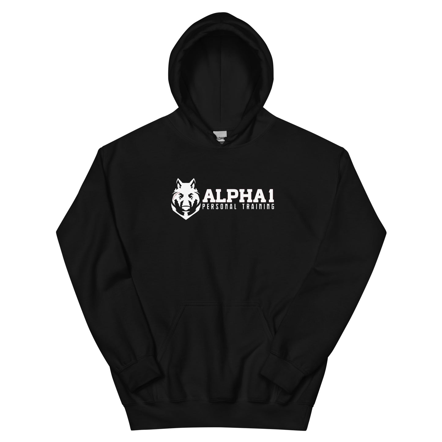 Alpha 1 PT Basic Hoodie