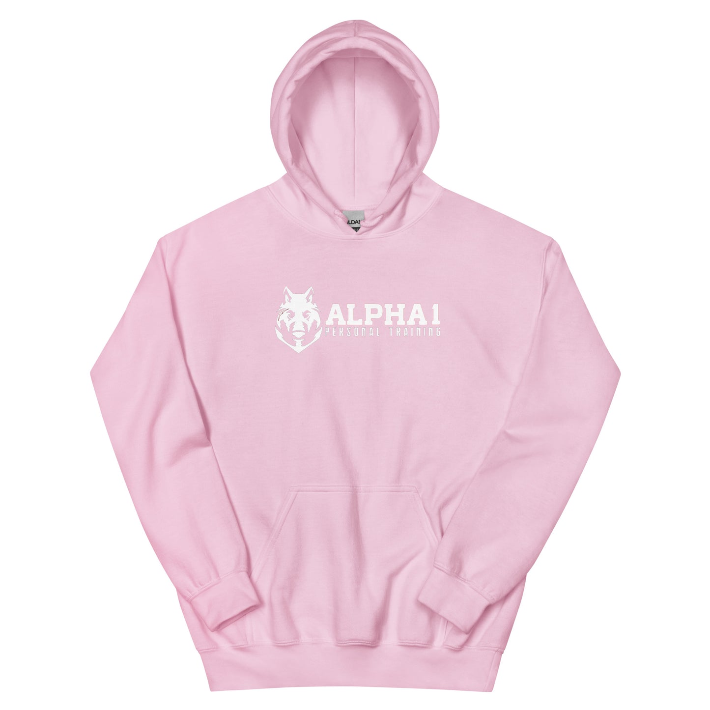 Alpha 1 PT Basic Hoodie