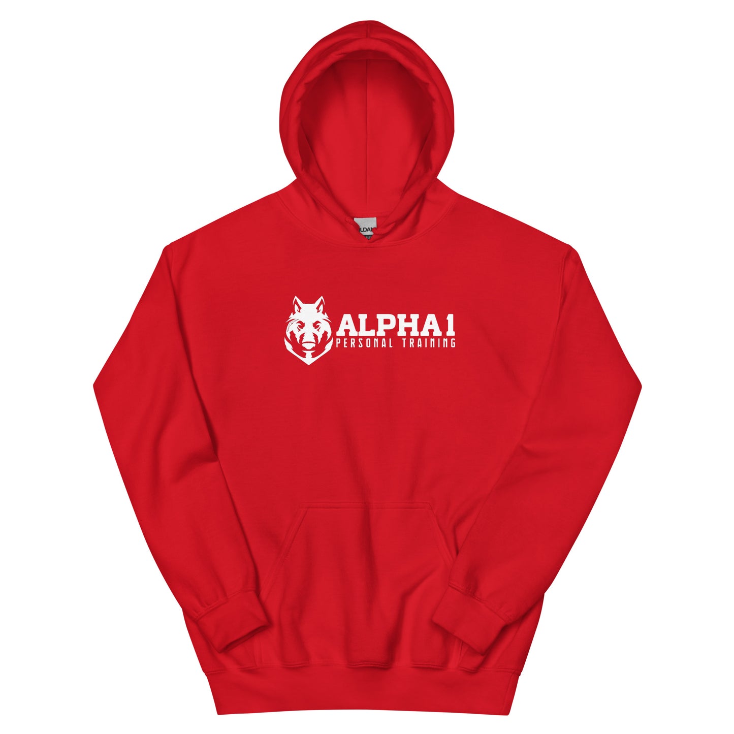 Alpha 1 PT Basic Hoodie